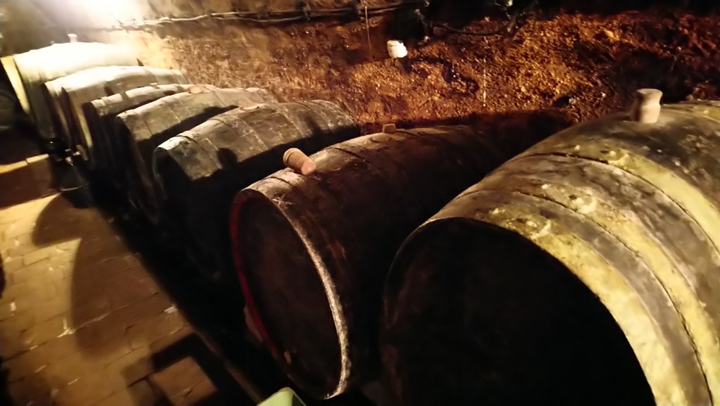 Historický sklep Vinařství JANUŠ z roku 1873 — dubové sudy